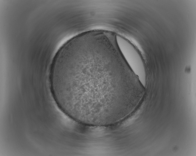 X0000092020991200709201548