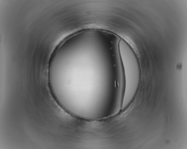 X0000092020992200709201548