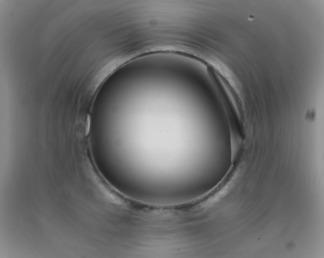 X0000092020993200709201548