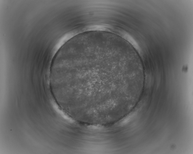 X0000092020994200709201548