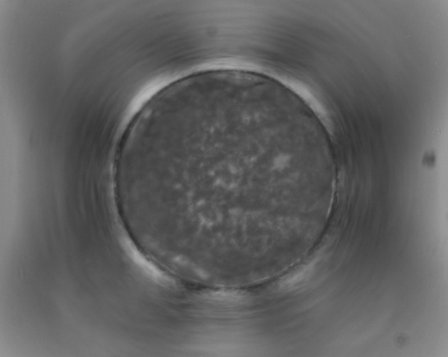 X0000092020998200709201548