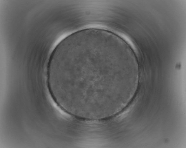 X0000092020999200709201548