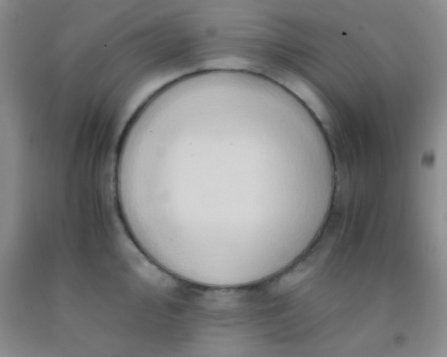 X0000092021000200709201548