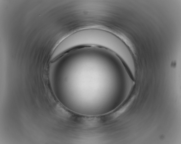 X0000092021001200709201548