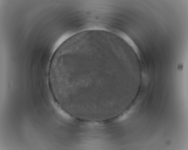 X0000092021002200709201548