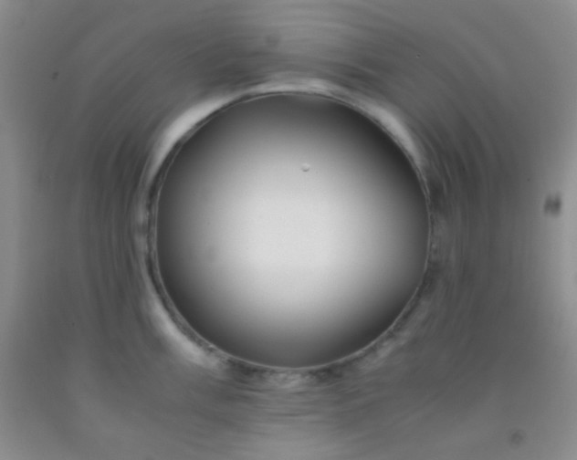 X0000092021003200709201548