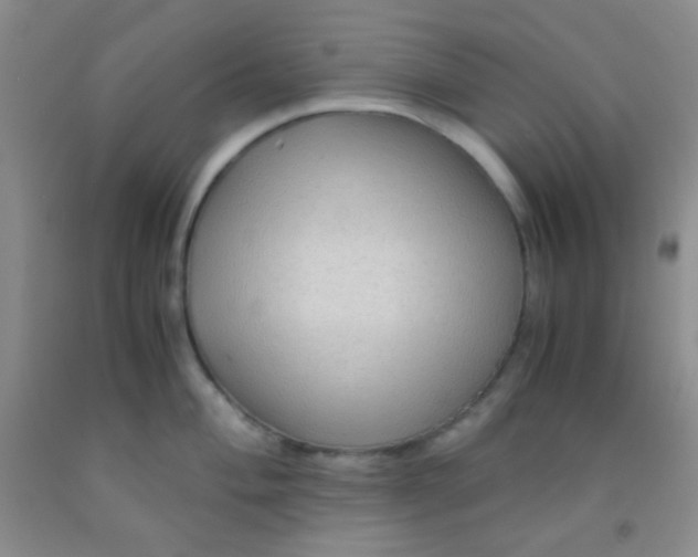 X0000092021004200709201548