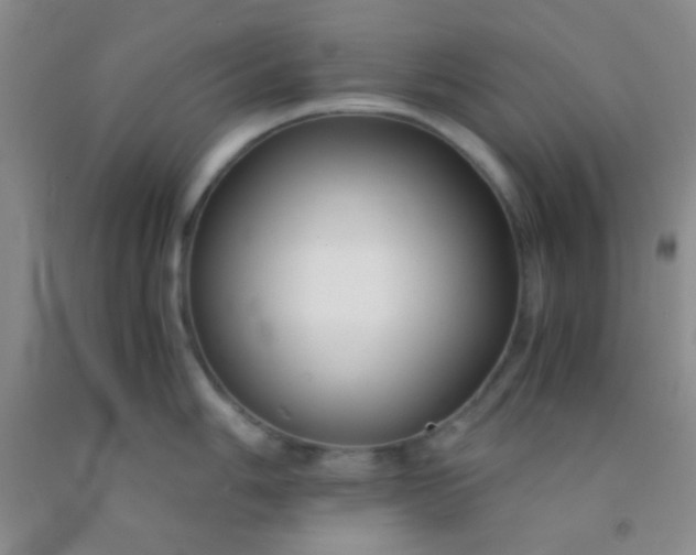 X0000092021006200709201548