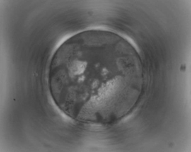 X0000092021007200709201548