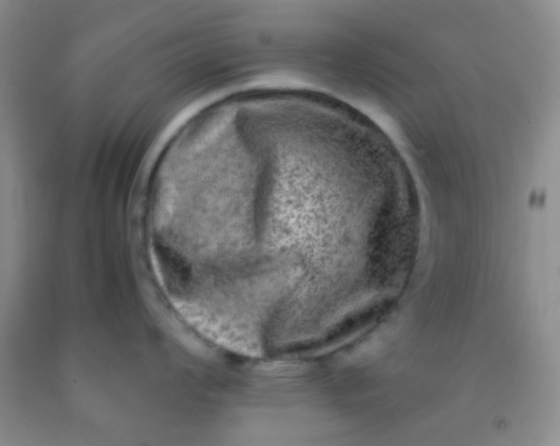 X0000092021008200709201548