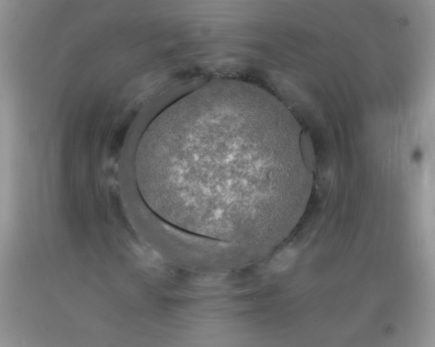 X0000092021010200709201547