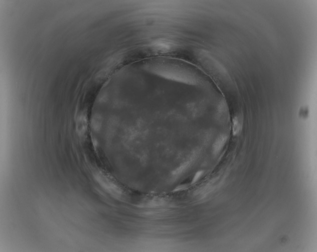 X0000092021011200709201547