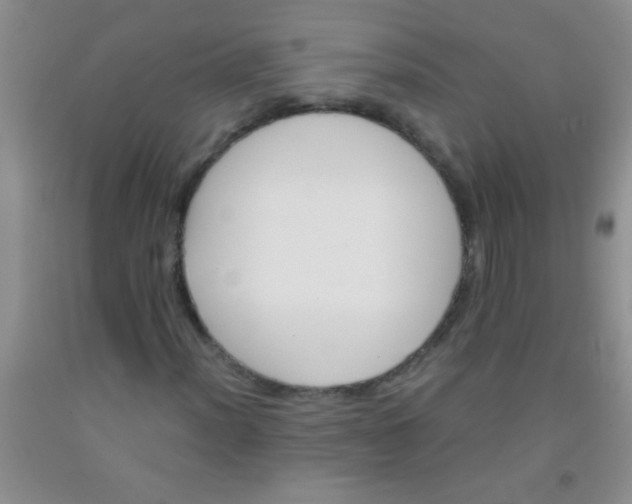 X0000092021012200709201547