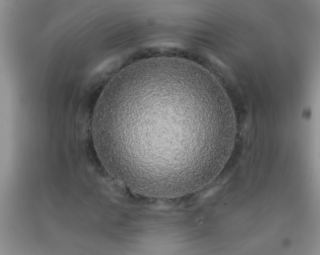 X0000092021014200709201547