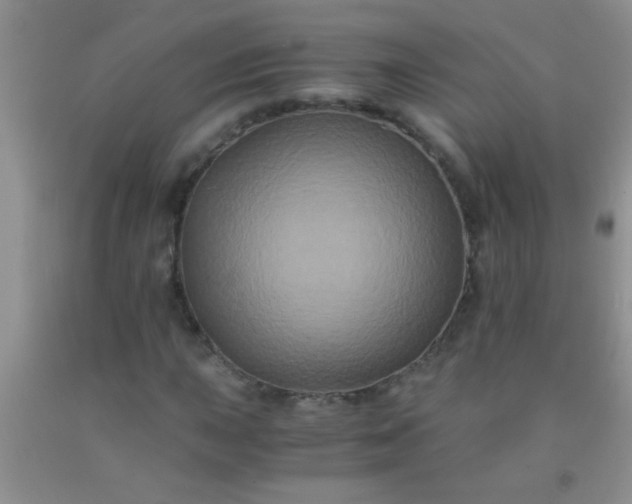 X0000092021015200709201547