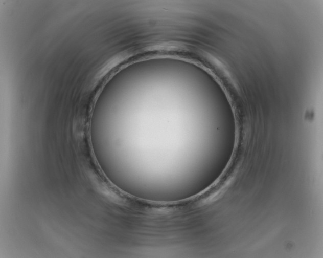 X0000092021017200709201547