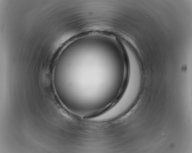 X0000092021018200709201547