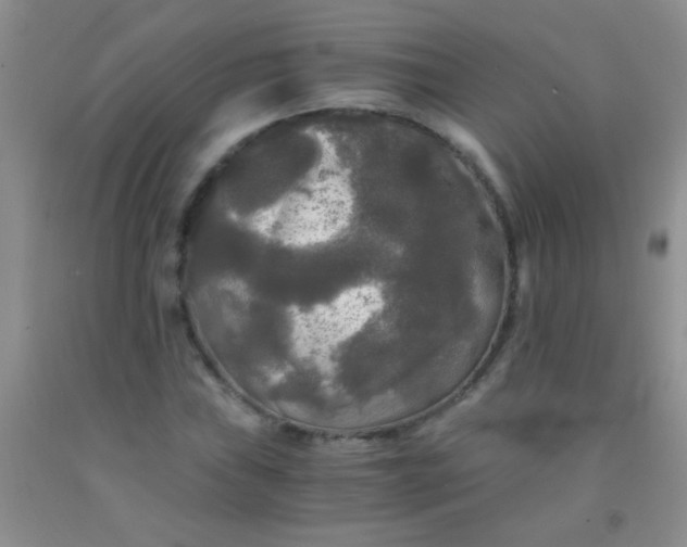 X0000092021019200709201547