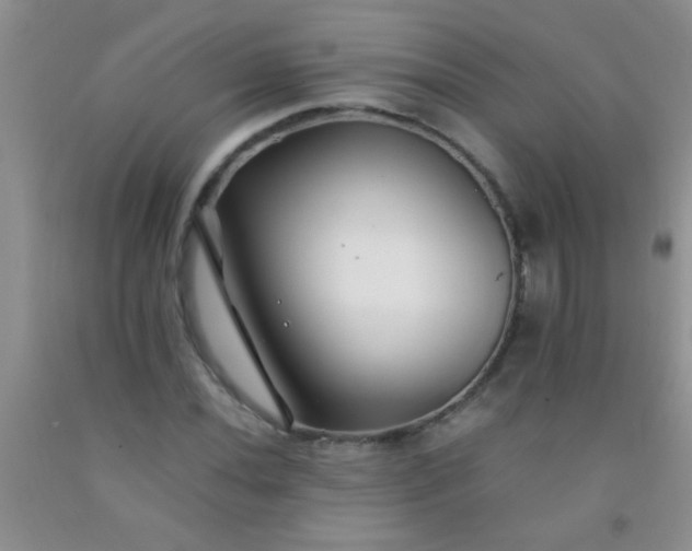 X0000092021020200709201547