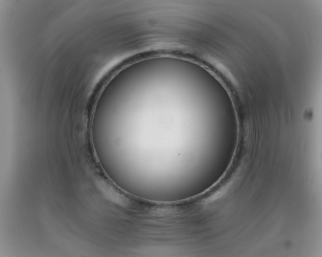 X0000092021021200709201547