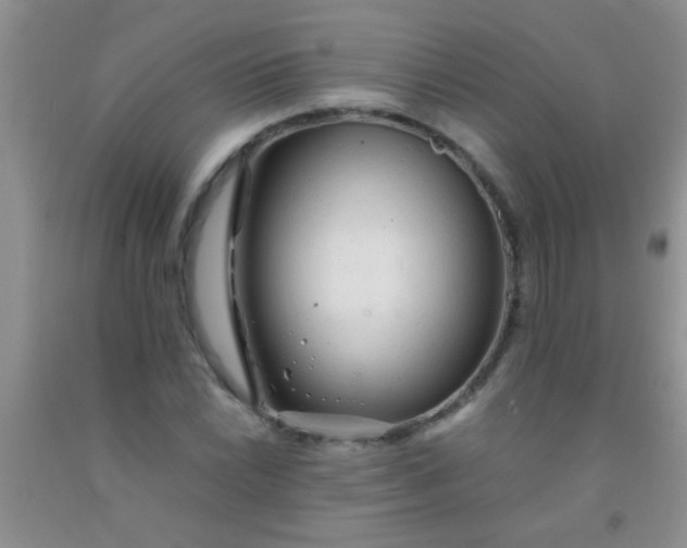 X0000092021022200709201547