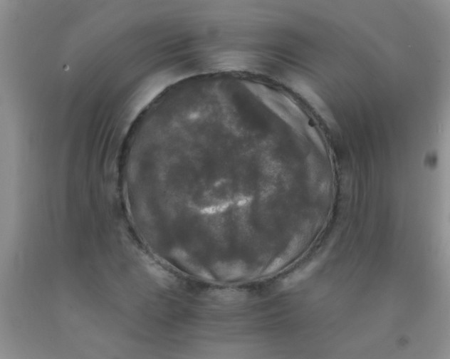 X0000092021023200709201547