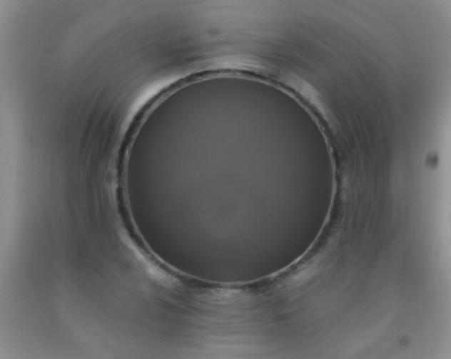 X0000092021024200709201547