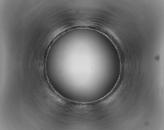 X0000092021025200709201547