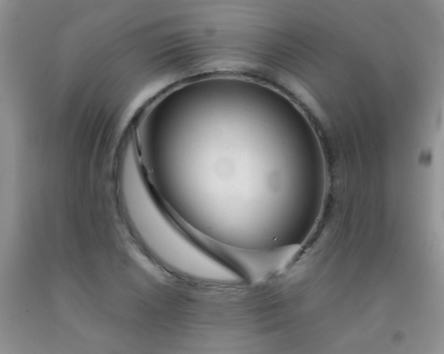 X0000092021026200709201547