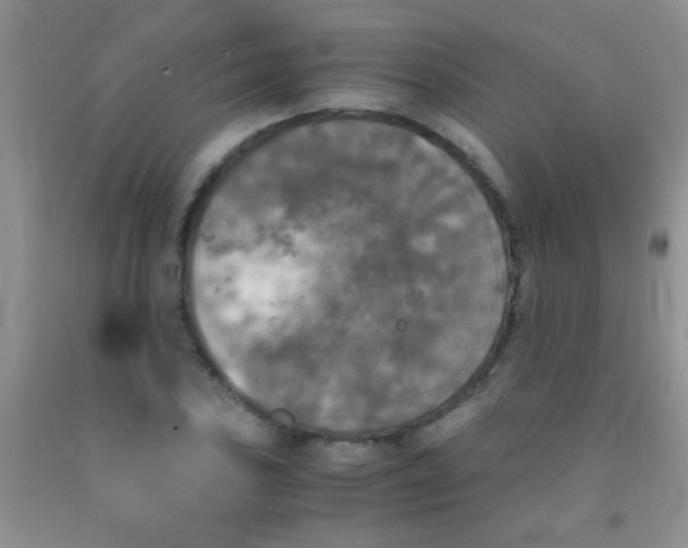 X0000092021027200709201547