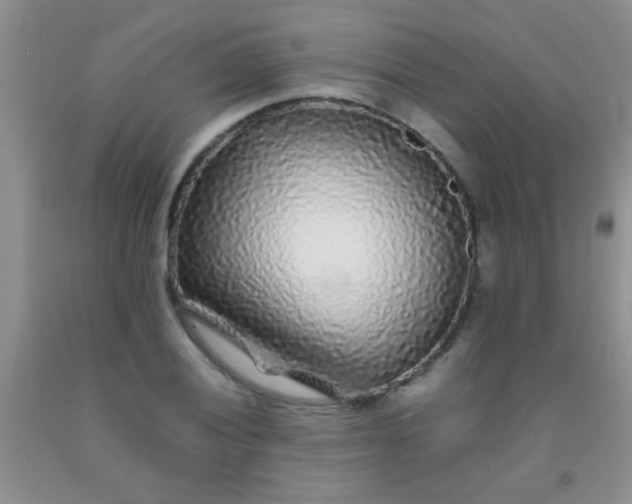 X0000092021028200709201547