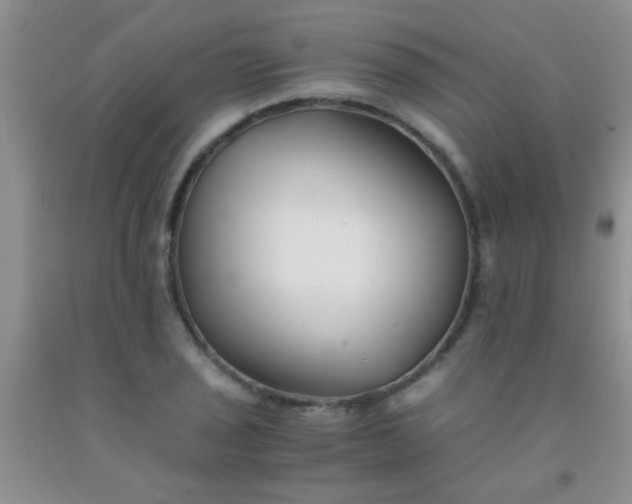 X0000092021029200709201547