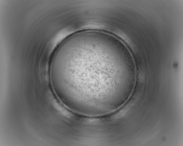 X0000092021030200709201547