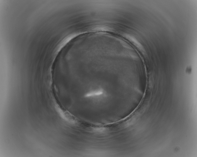 X0000092021031200709201547