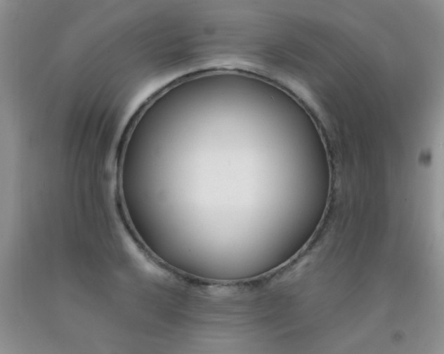 X0000092021032200709201547