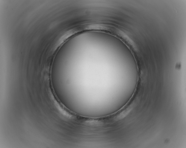 X0000092021033200709201547