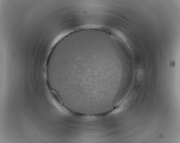 X0000092021034200709201548