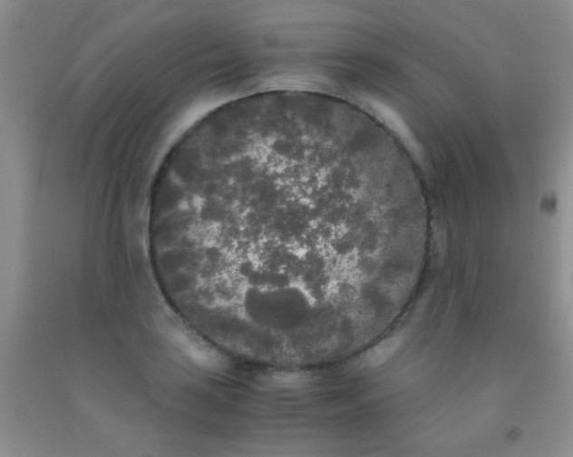 X0000092021035200709201548