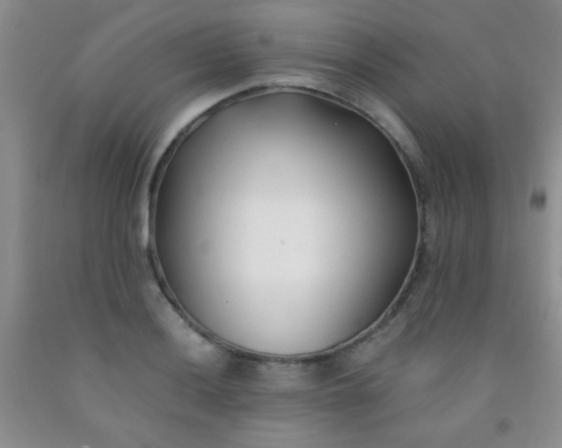 X0000092021036200709201548