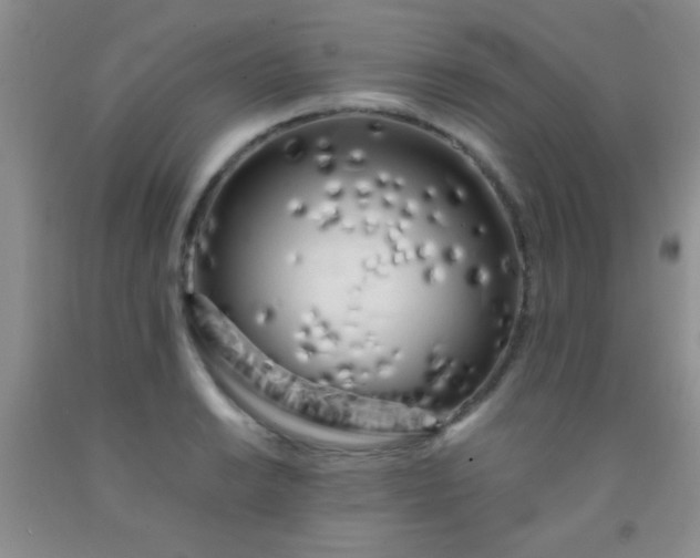 X0000092021038200709201548