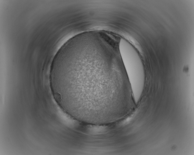 X0000092021039200709201548