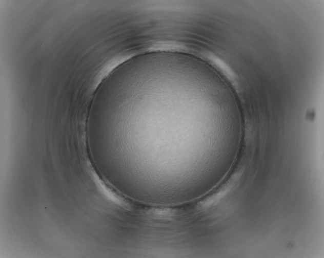 X0000092021041200709201548