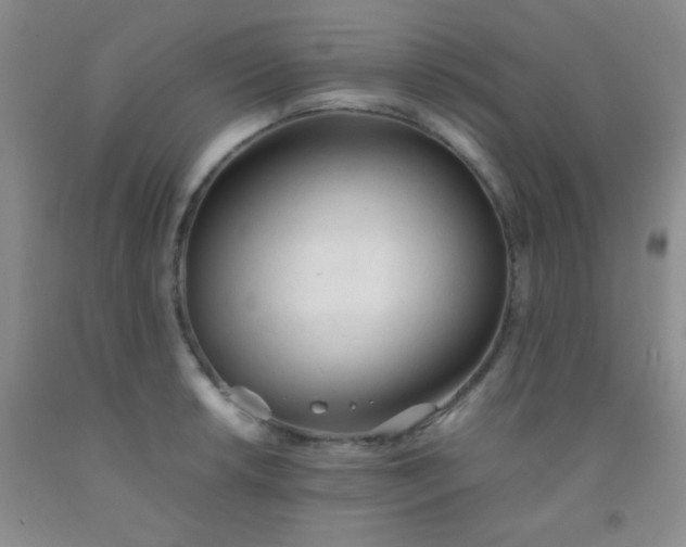 X0000092021042200709201548