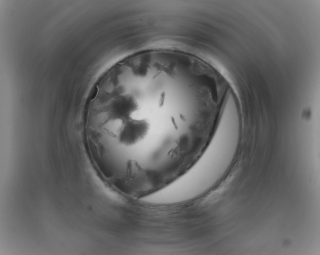 X0000092021045200709201548