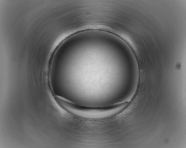 X0000092021046200709201548