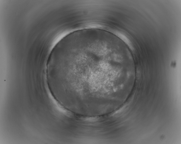 X0000092021047200709201548