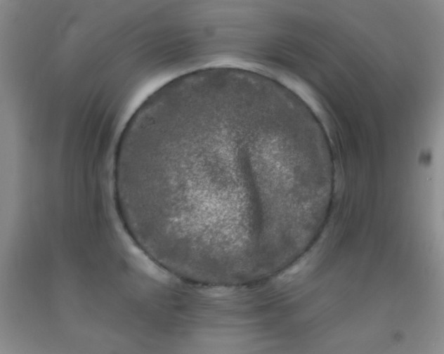 X0000092021048200709201548