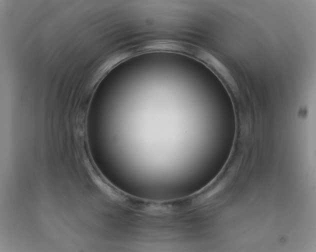 X0000092021049200709201548