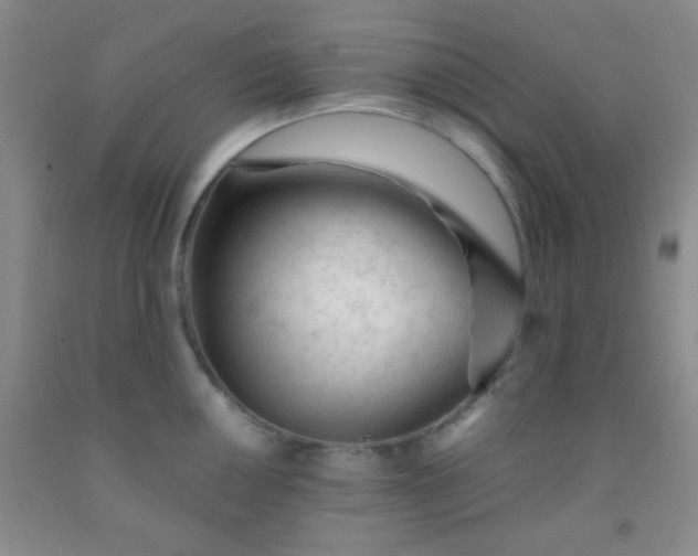 X0000092021050200709201548