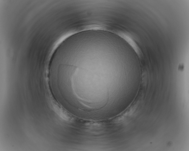 X0000092021051200709201548